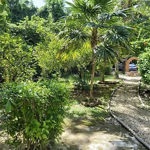 https://mini-pini-bird-watching-loft.allrivieramayahotels.com